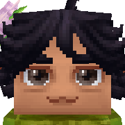 zayn Hytale Avatar