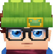 11l Hytale Avatar