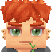 XcoloX Hytale Avatar