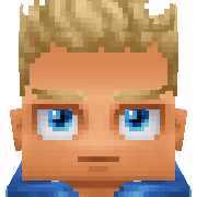 npc Hytale Avatar