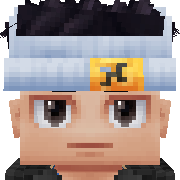 npz Hytale Avatar