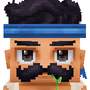 807 Hytale Avatar