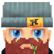 MMW99 Hytale Avatar
