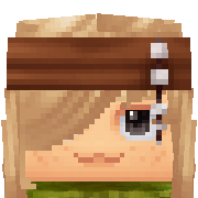 Socket Hytale Avatar
