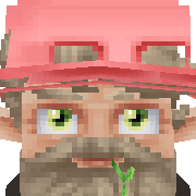 snaw Hytale Avatar