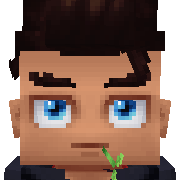 s0b Hytale Avatar