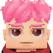 ton Hytale Avatar
