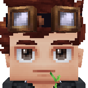 Dgk Hytale Avatar