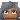 Capivara1