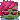 MellowdytheGobbo