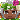Pauoui