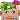 PiTwoLin