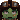 Shortstacklover