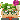 Singed