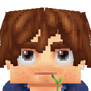 Bins123 Hytale Avatar