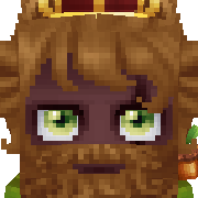 npl Hytale Avatar