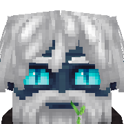 Xer Hytale Avatar