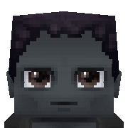 nwb Hytale Avatar