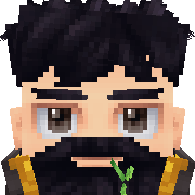 Prot Hytale Avatar