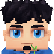 Ayq Hytale Avatar