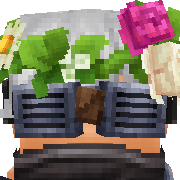 hfa Hytale Avatar