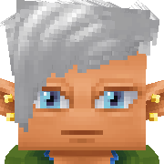 TheNinja Hytale Avatar