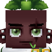 bo0 Hytale Avatar