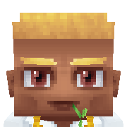cr4 Hytale Avatar