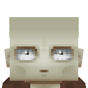 ins Hytale Avatar
