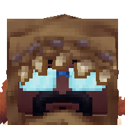TheFin Hytale Avatar