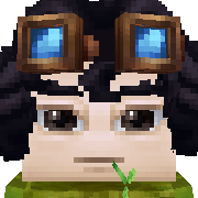 dwyt Hytale Avatar
